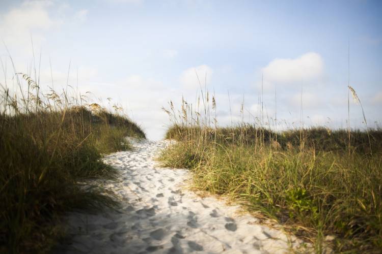 Pathway in sand dune to beach in Hilton Head, South Carolina