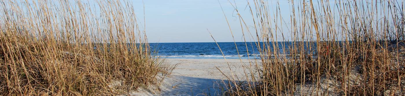 Sand dunes on a South Carolina beach