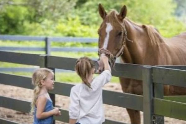 Lawton Stables