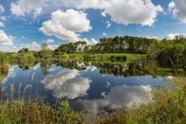 Pinckney Island National Wildlife Refuge