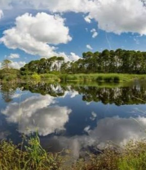 Pinckney Island National Wildlife Refuge Image