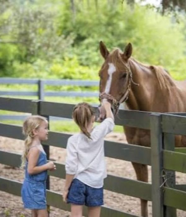 Lawton Stables Image