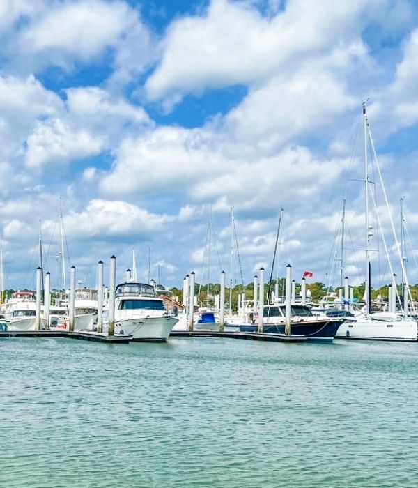 Palmetto Bay Marina Image