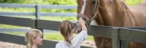 Lawton Stables Image