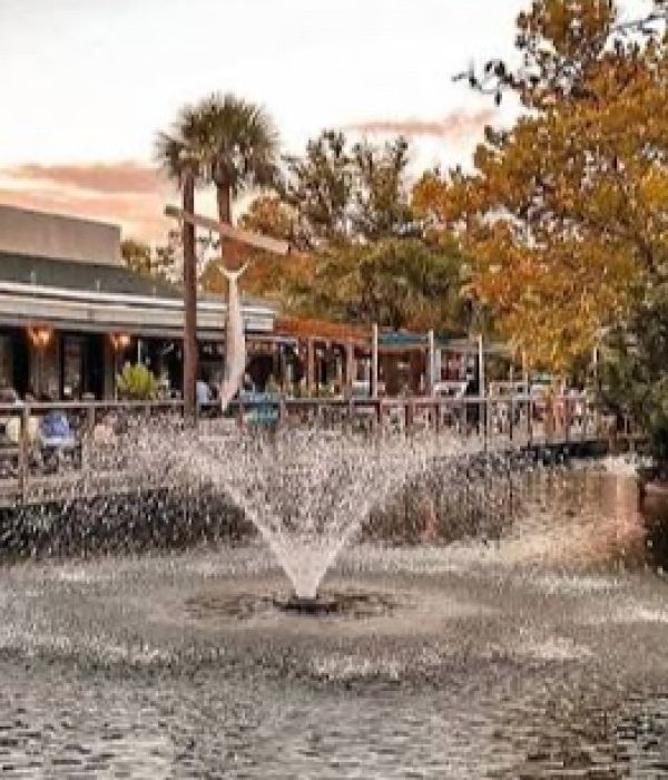 Coligny Plaza Shopping Center Image