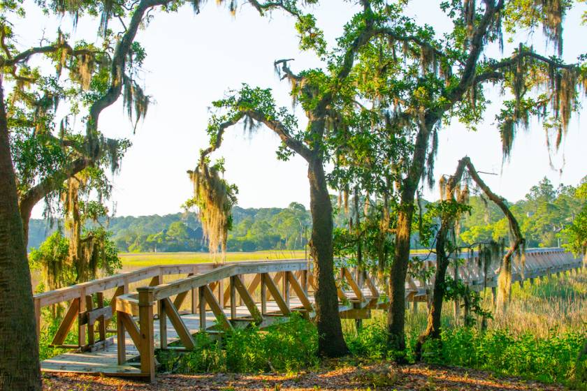 Spanish moss trees surrounding a wooden boardwalk that crosses over a marsh