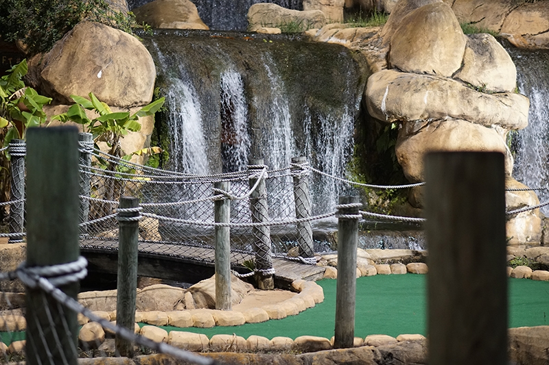 Adventure Cove Mini Golf & Arcade