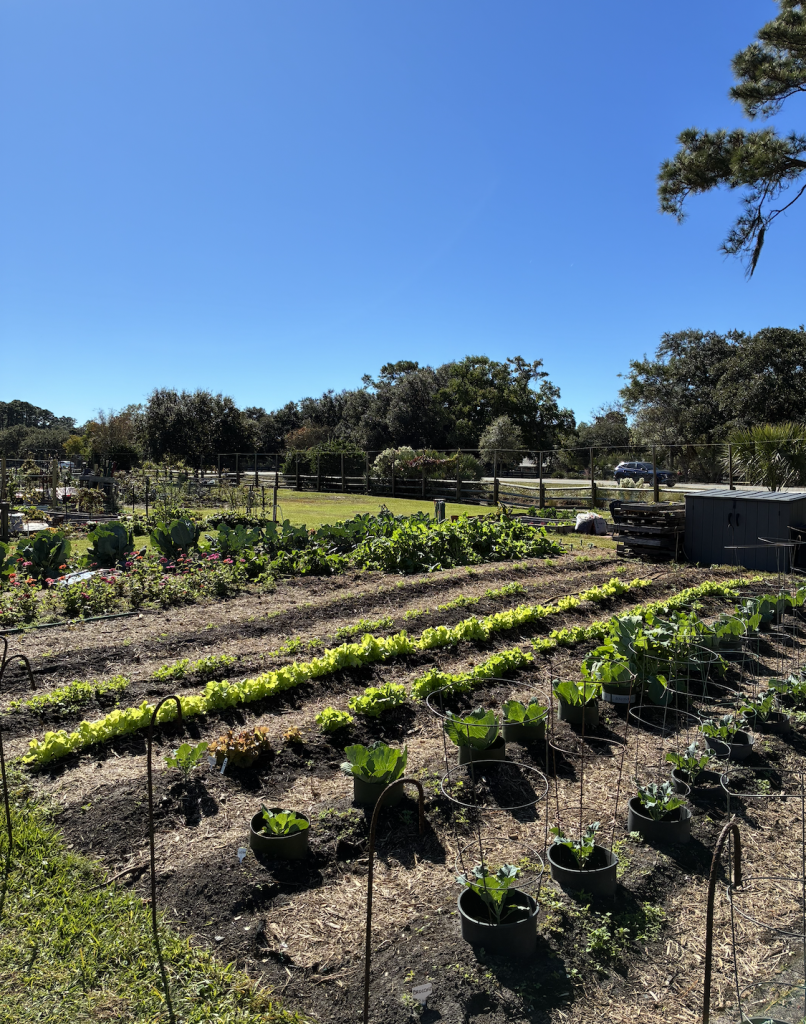 Heritage Farms at The Sea Pines Resort on Hilton Head Island.