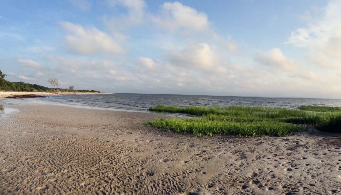 Shelling at Mitchelville Beach